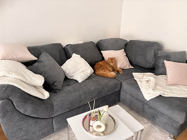 Kundenbild Sofa Agira BEN05 LR 750011 Kundenbild Sofa Agira BEN05 LR 750011