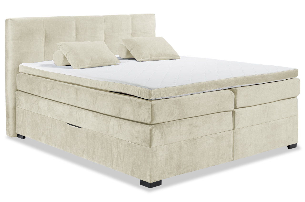 Vogue 01 Creme