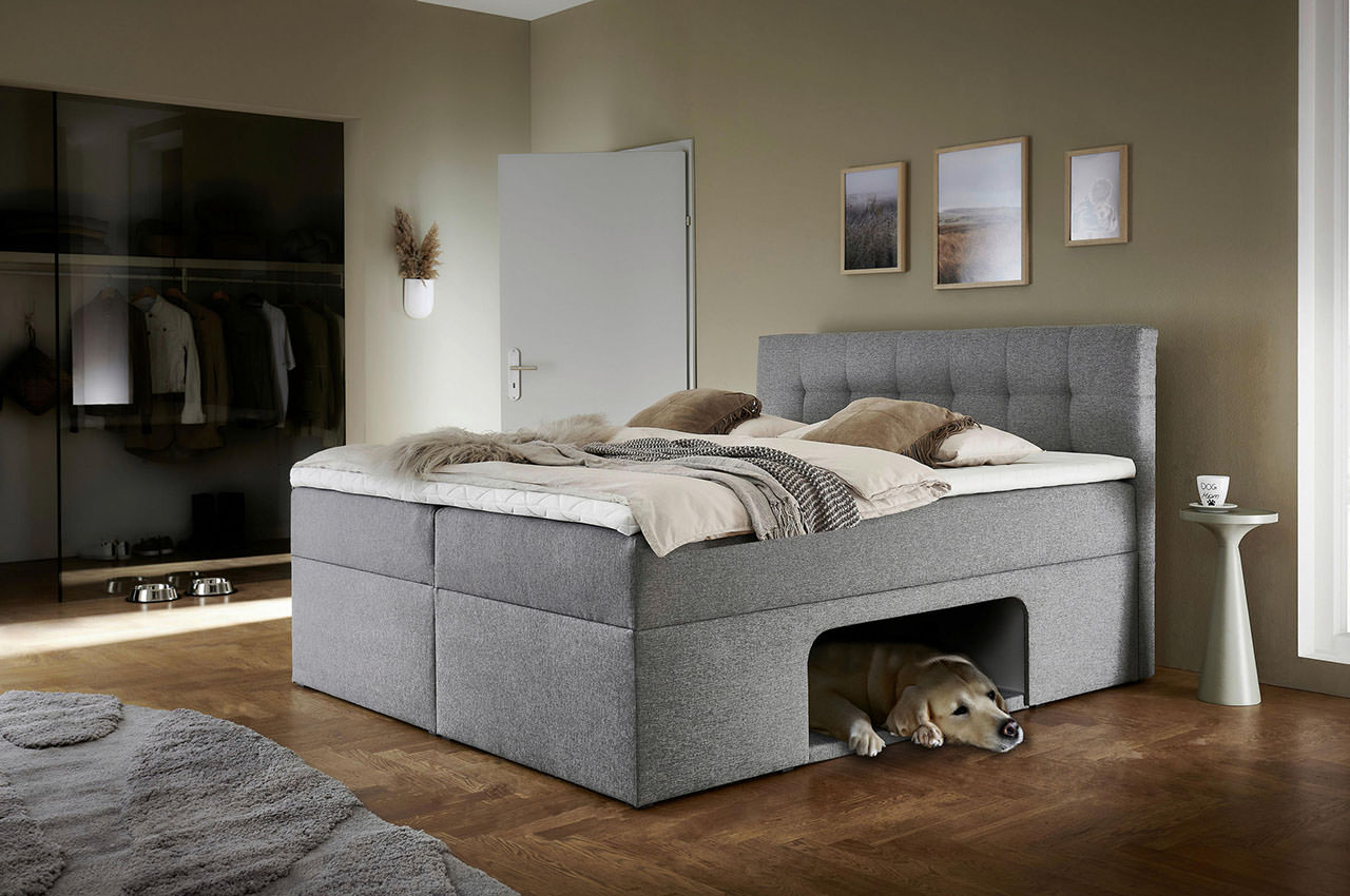 petty boxbett stoff malmo 90 hellgrau milieubild mit hund petty boxbett stoff malmo 90 hellgrau milieubild mit hund
