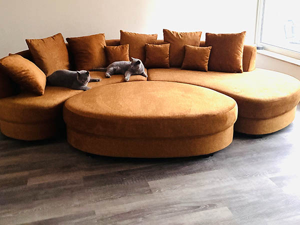 Kundenbild Sofa Limoncello 101476