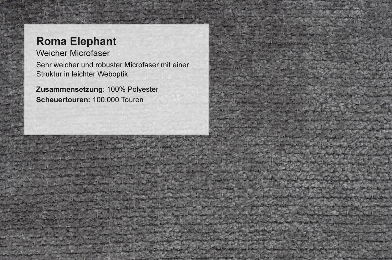 Roma Elephant Roma Elephant