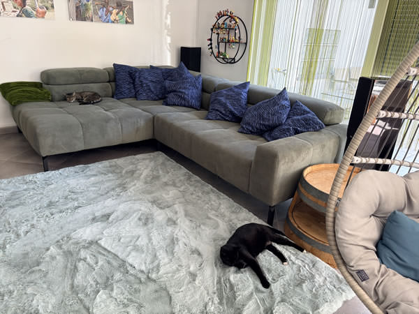 Kundenbild Ecksofa XL Cleveland CAN01 ML FCO116GSZ Kundenbild Ecksofa XL Cleveland CAN01 ML FCO116GSZ