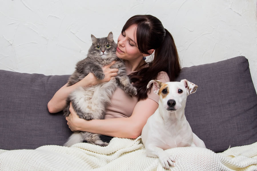 Welches Sofa mit Hund und Katze: Auf den richtigen Polsterstoff kommt es an