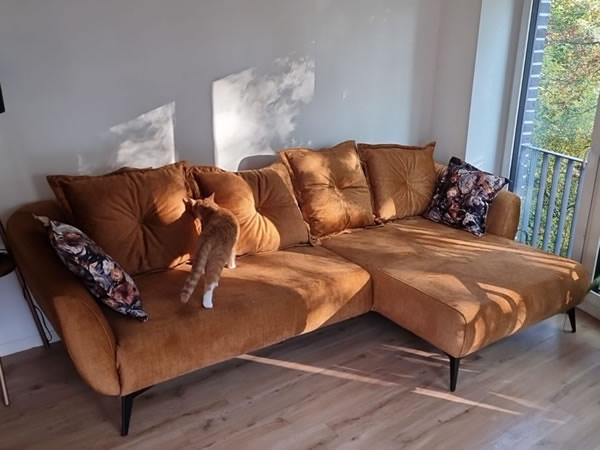 Kundenbild Sofa Baggio BEN23 LR 9407