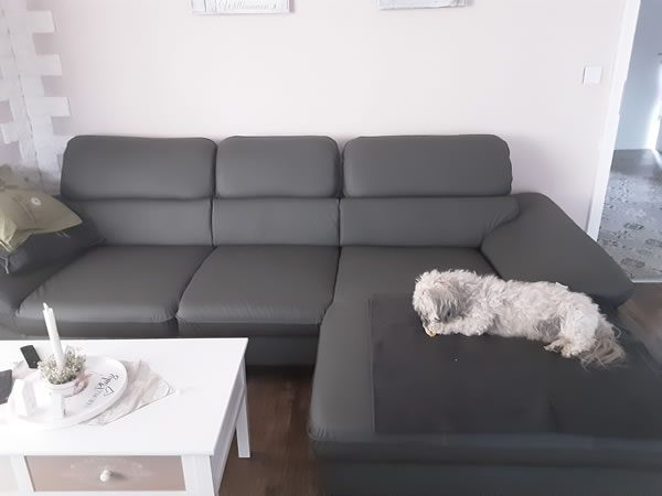 Kundenbild Ecksofa Driver REC Leder COT04 LR M9045 Kundenbild Ecksofa Driver REC Leder COT04 LR M9045