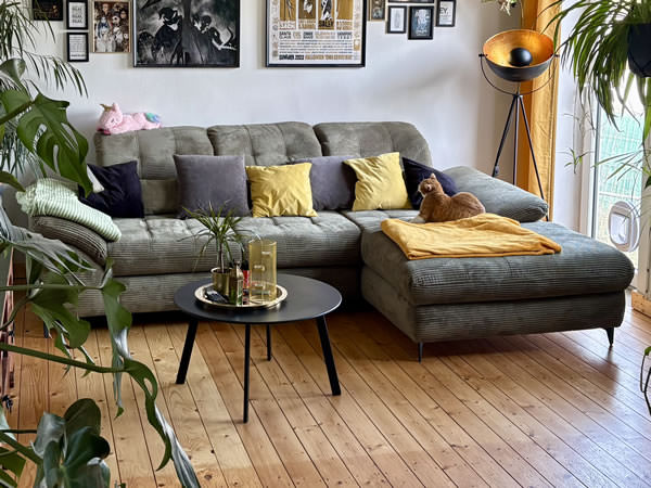 Kundenbild Sofa Delphino BEN64 LR 4803BB