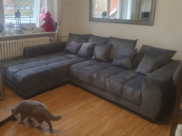 Kundenbild Sofa Artemis IWA03 LL SUN95