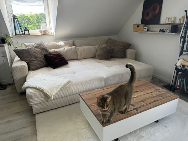 Kundenbild Loveseat Barura BRW59 B ZOM01 Kundenbild Loveseat Barura BRW59 B ZOM01