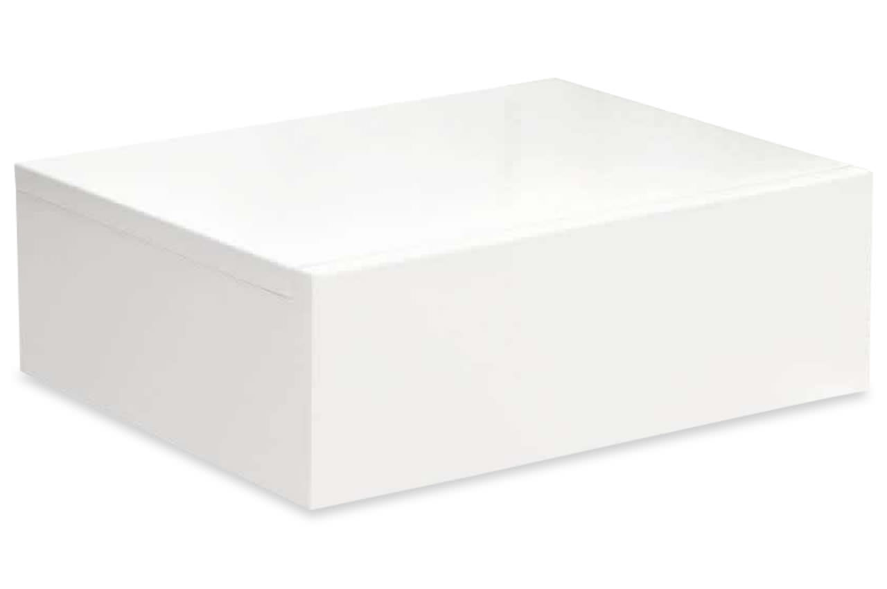 10 Buche weiss