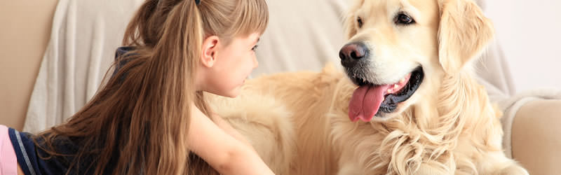 microfaser-kind-hund