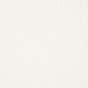 Torro_White_S