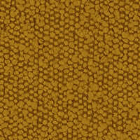S-SCO95_honey